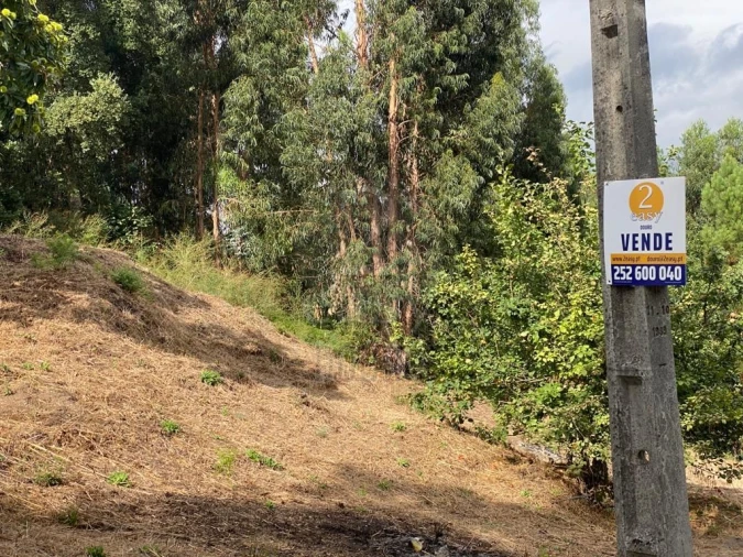 Terreno para Venda em Termas de São Vicente Foto 23
