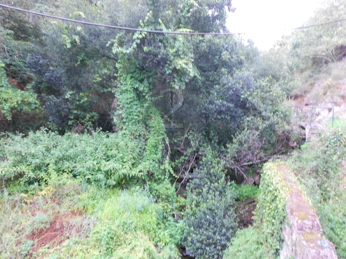 Terreno para Venda em Termas de São Vicente Foto 6