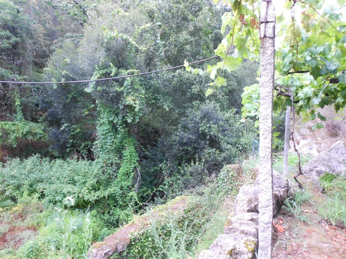 Terreno para Venda em Termas de São Vicente Foto 16