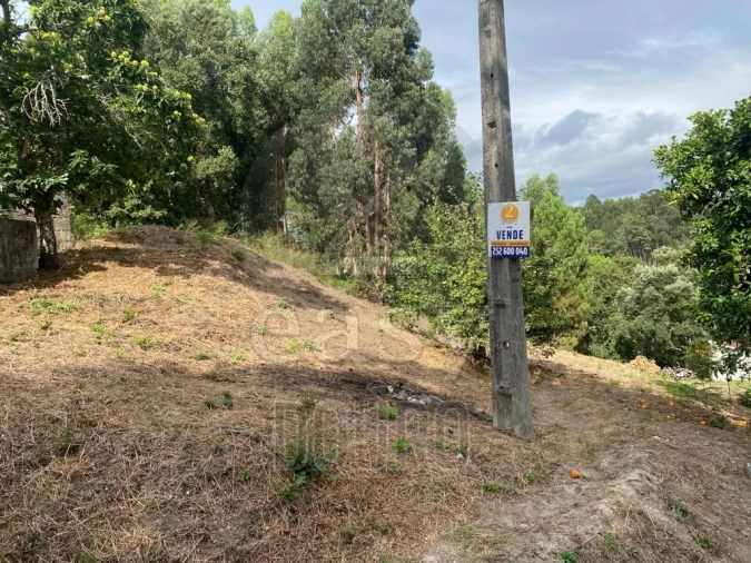 Terreno para Venda em Termas de São Vicente Foto 2