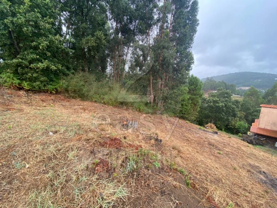Terreno para Venda em Termas de São Vicente Foto 8