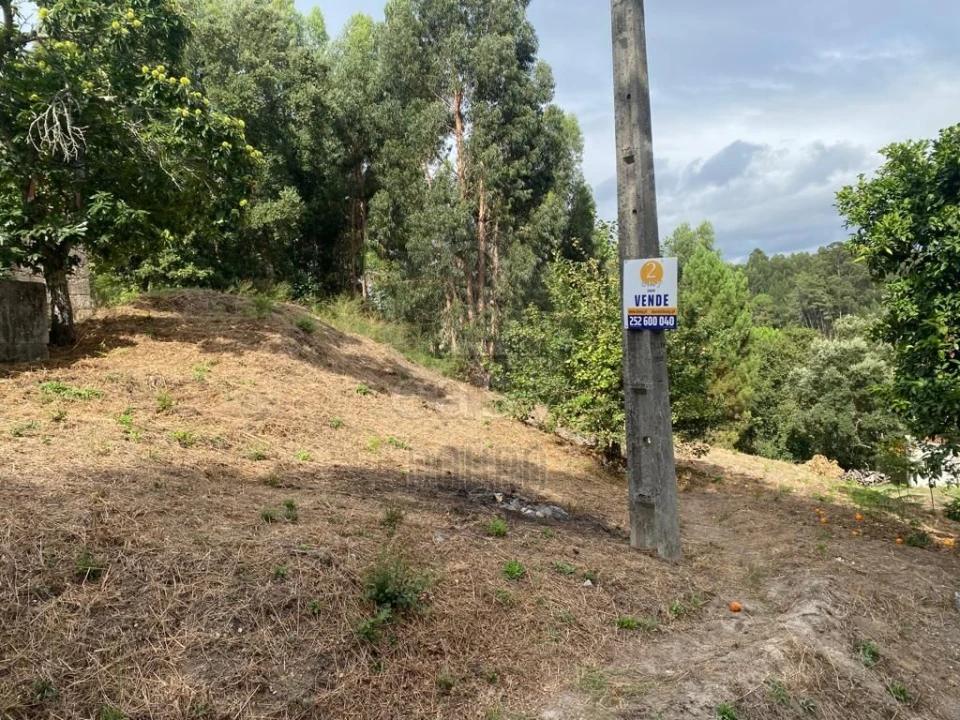 Terreno para Venda em Termas de São Vicente Foto 25