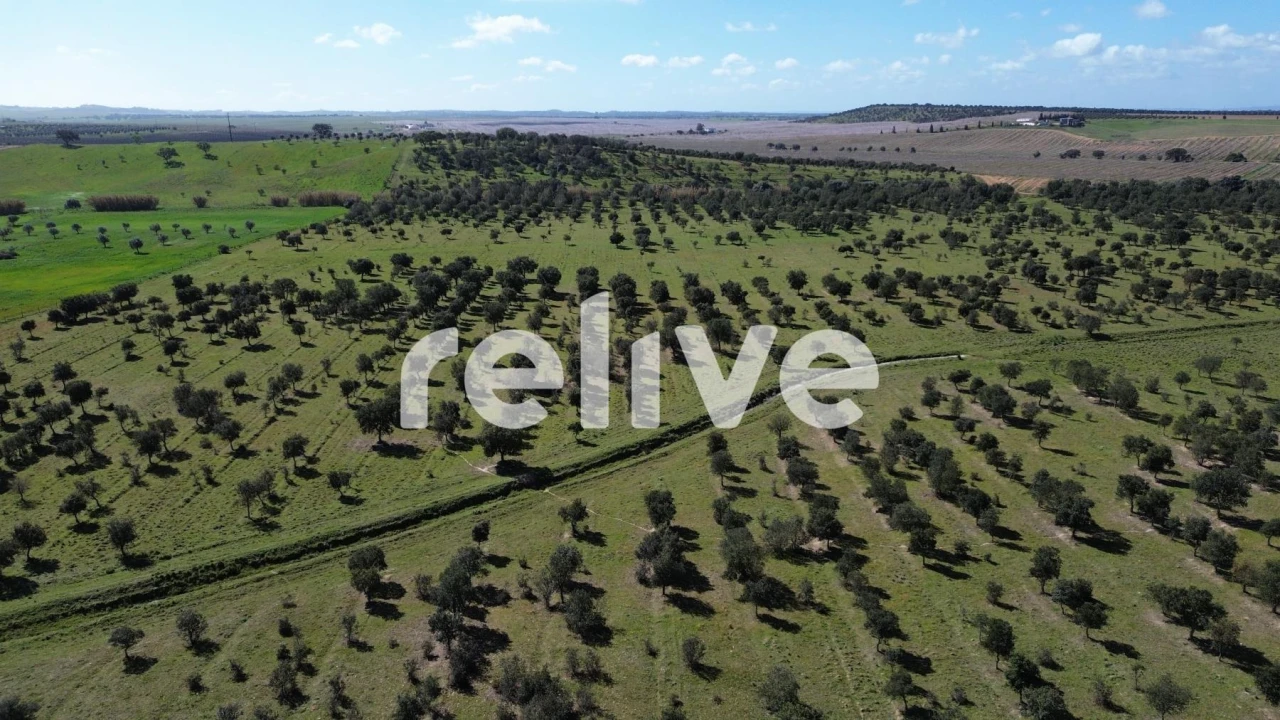 Quinta T1 para Venda em Messejana Foto 4