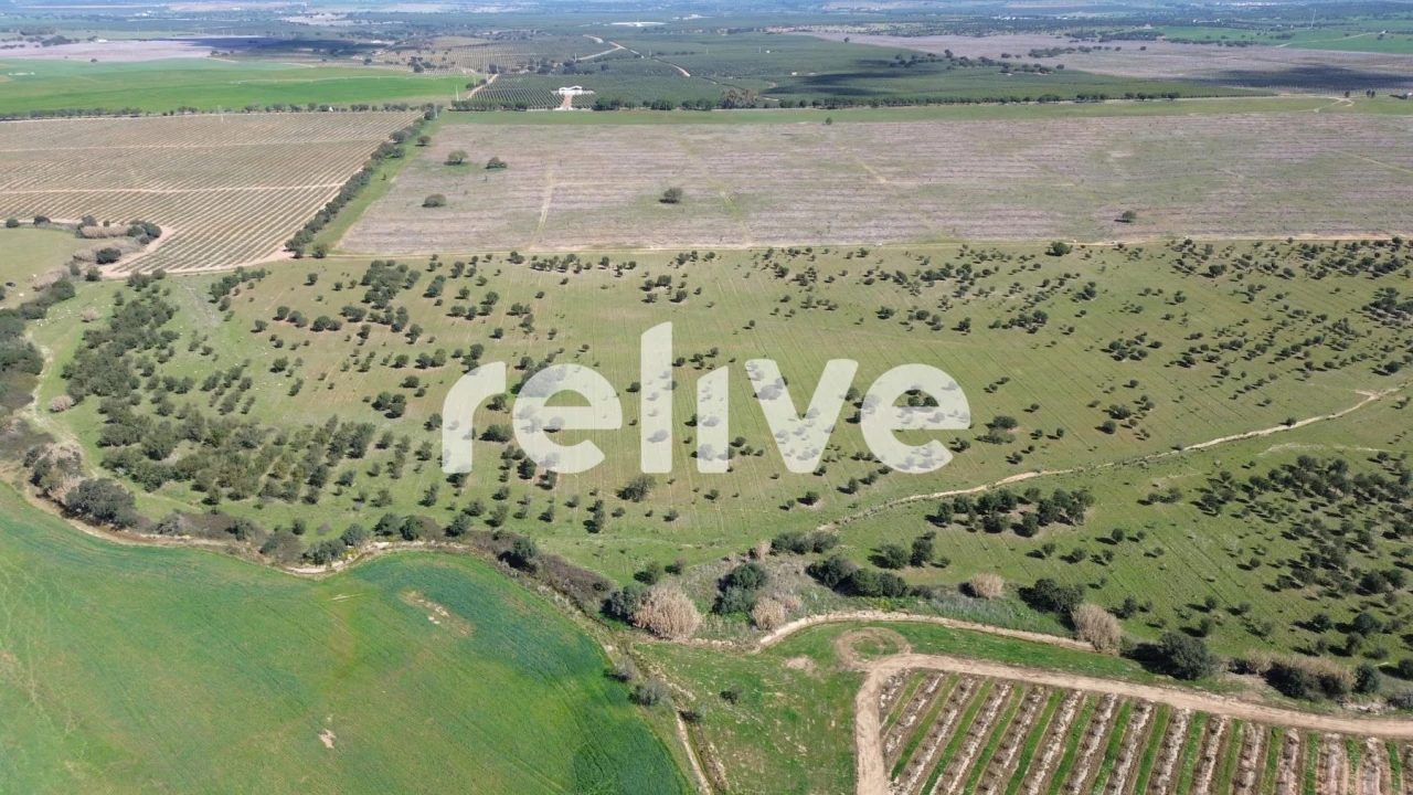 Quinta T1 para Venda em Messejana Foto 10