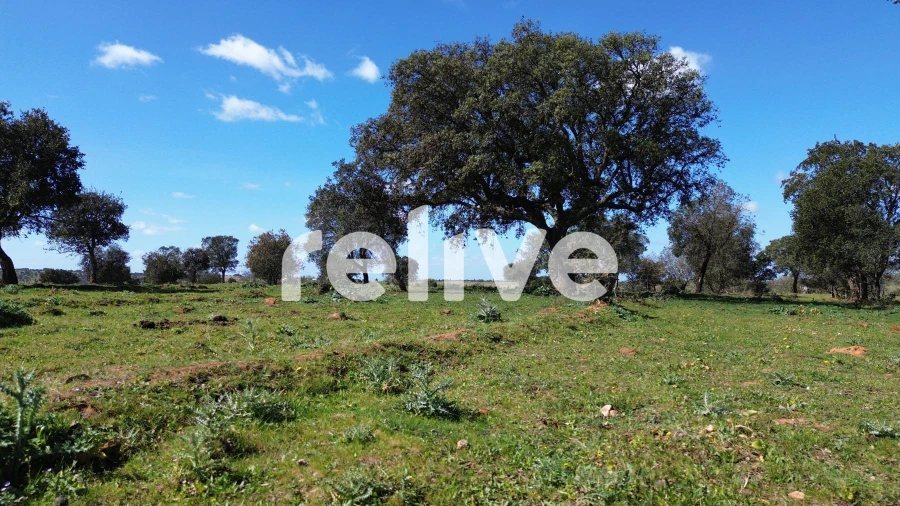 Quinta T1 para Venda em Messejana Foto 22