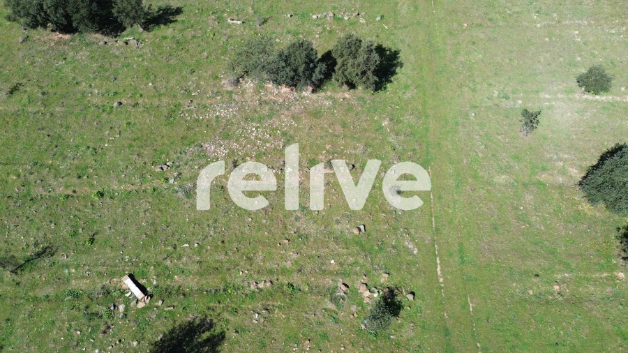 Quinta T1 para Venda em Messejana Foto 18