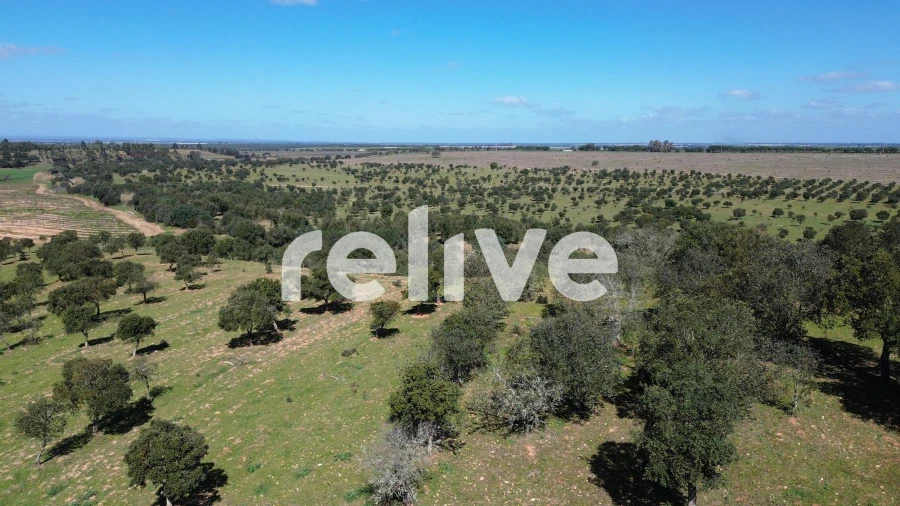 Quinta T1 para Venda em Messejana Foto 21