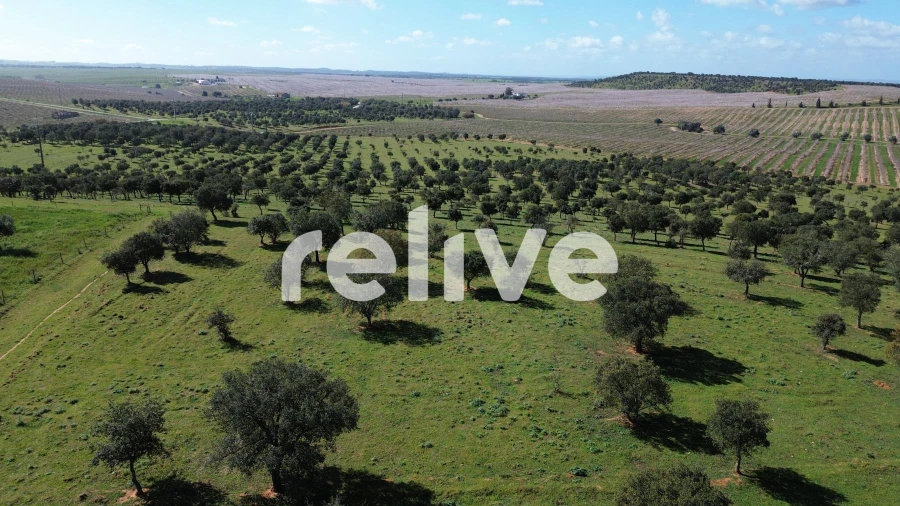 Quinta T1 para Venda em Messejana