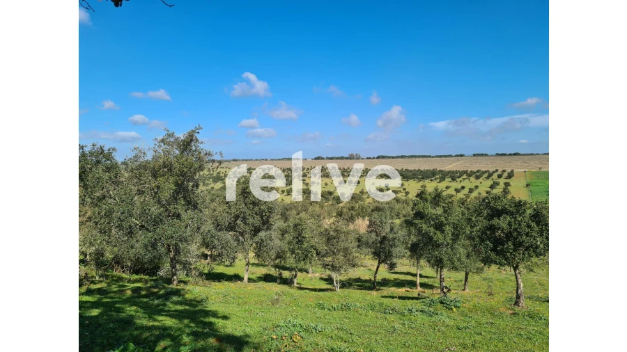 Quinta T1 para Venda em Messejana Foto 13