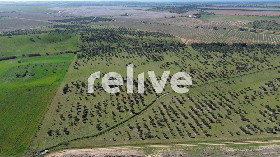 Quinta T1 para Venda em Messejana Foto 12