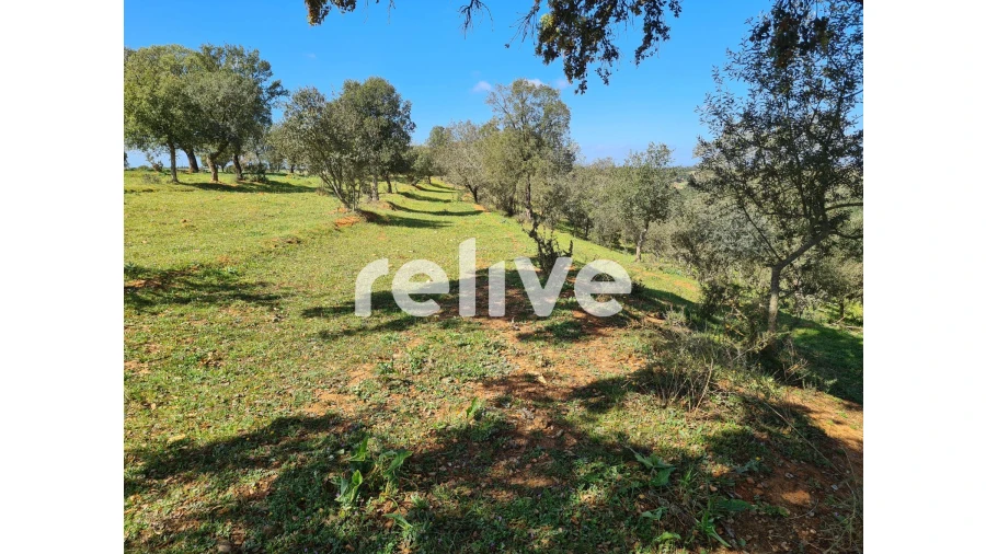 Quinta T1 para Venda em Messejana Foto 20