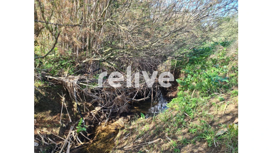 Quinta T1 para Venda em Messejana Foto 6