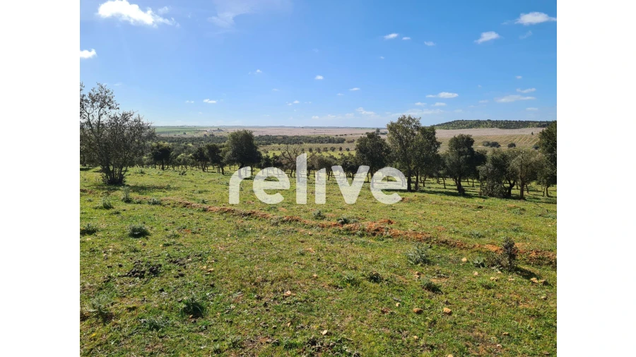 Quinta T1 para Venda em Messejana Foto 23