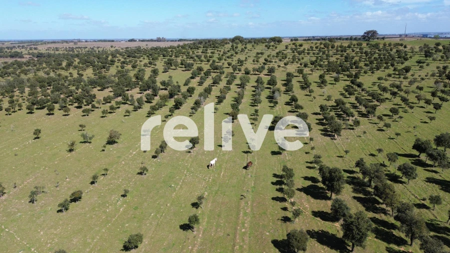 Quinta T1 para Venda em Messejana Foto 8