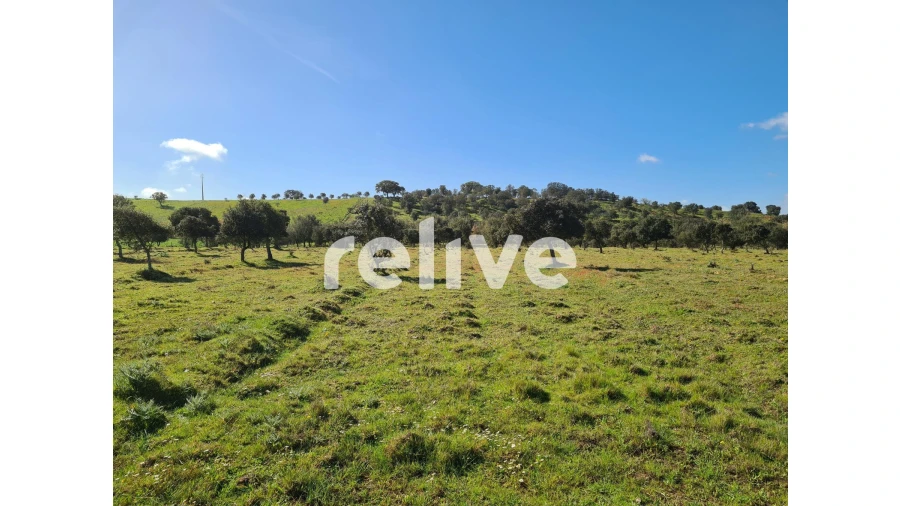 Quinta T1 para Venda em Messejana Foto 2