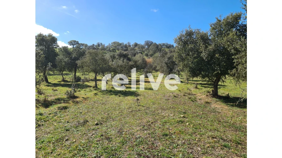 Quinta T1 para Venda em Messejana Foto 5