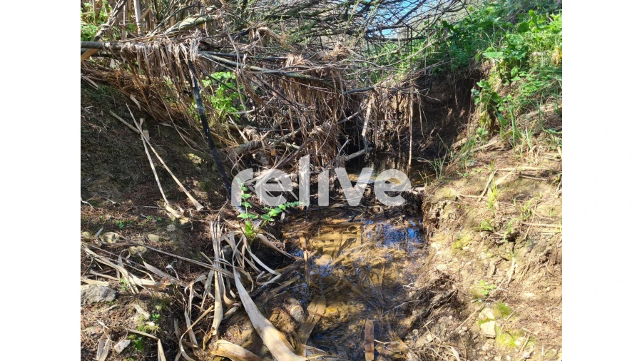 Quinta T1 para Venda em Messejana Foto 9