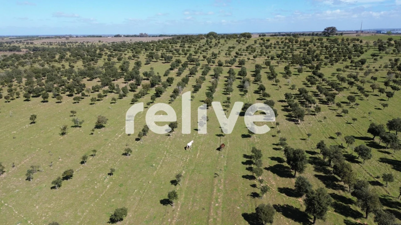 Quinta T1 para Venda em Messejana Foto 8