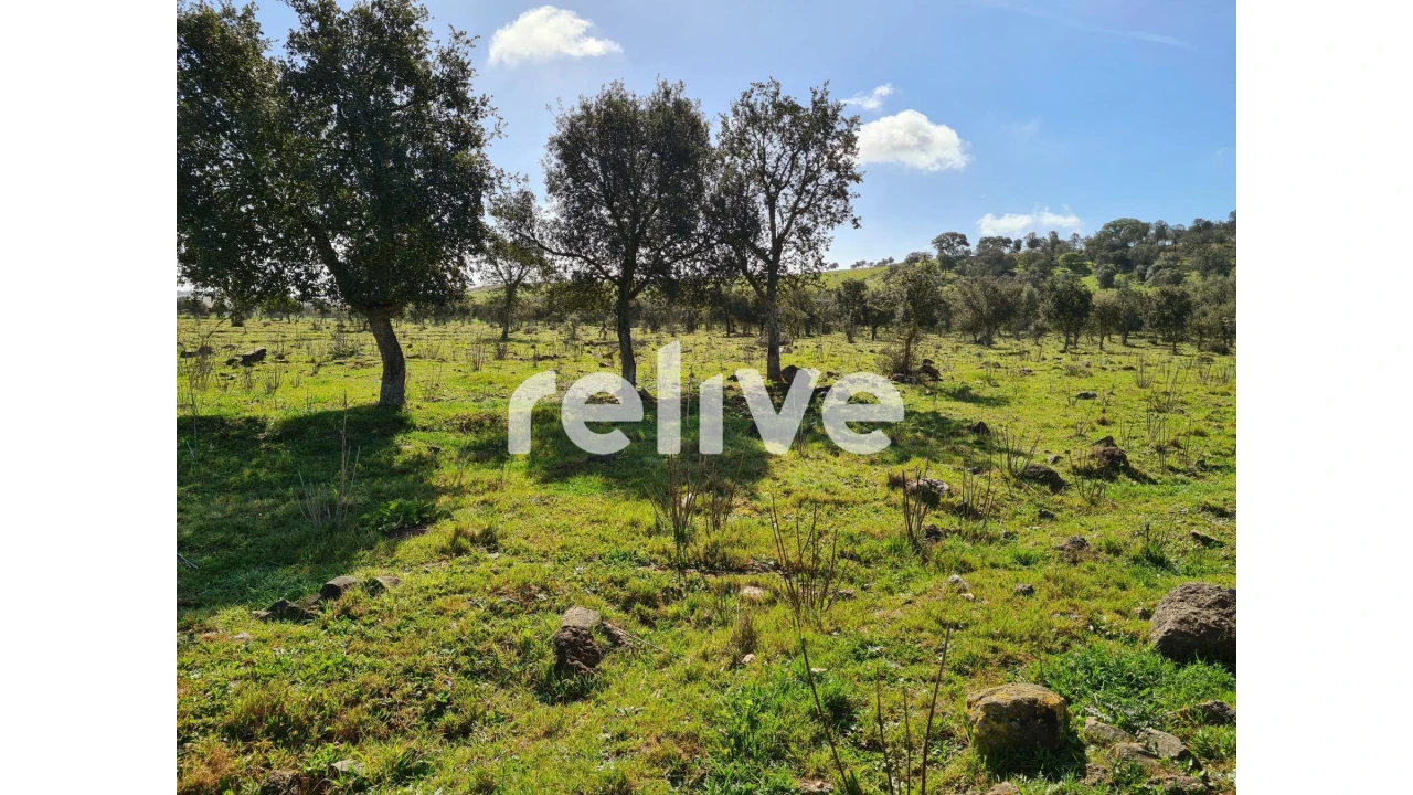 Quinta T1 para Venda em Messejana Foto 3