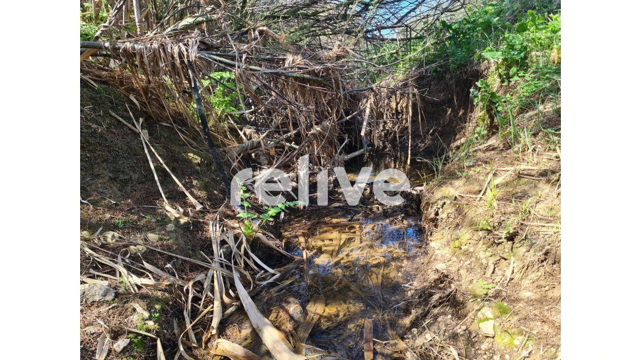 Quinta T1 para Venda em Messejana Foto 9