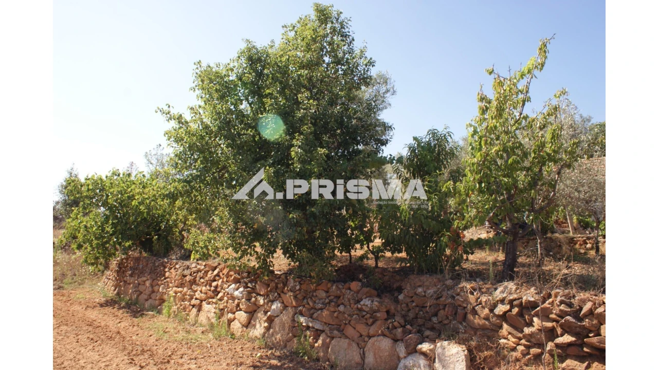 Quinta para Venda em Pero Viseu Foto 18