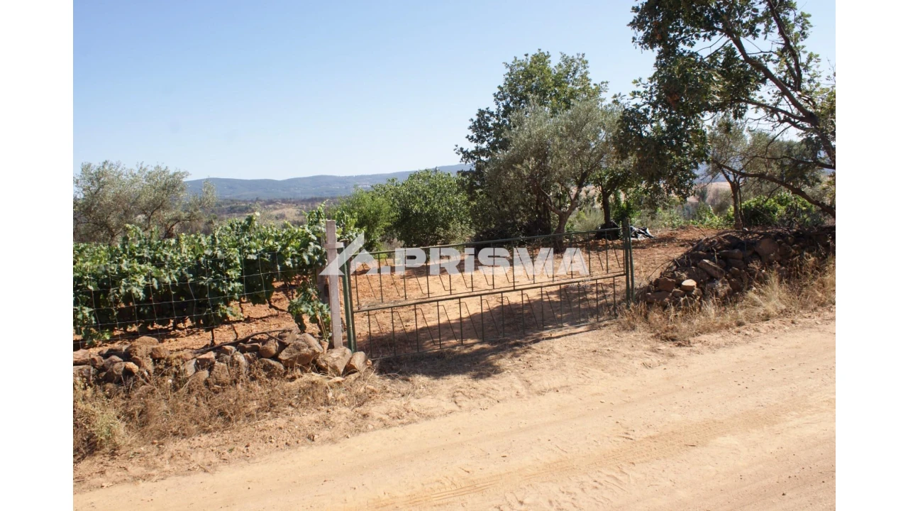 Quinta para Venda em Pero Viseu Foto 11