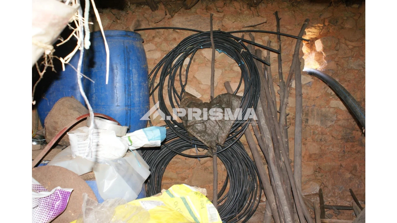 Quinta para Venda em Pero Viseu Foto 15