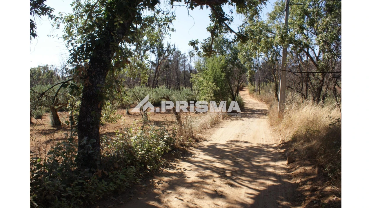Quinta para Venda em Pero Viseu Foto 9