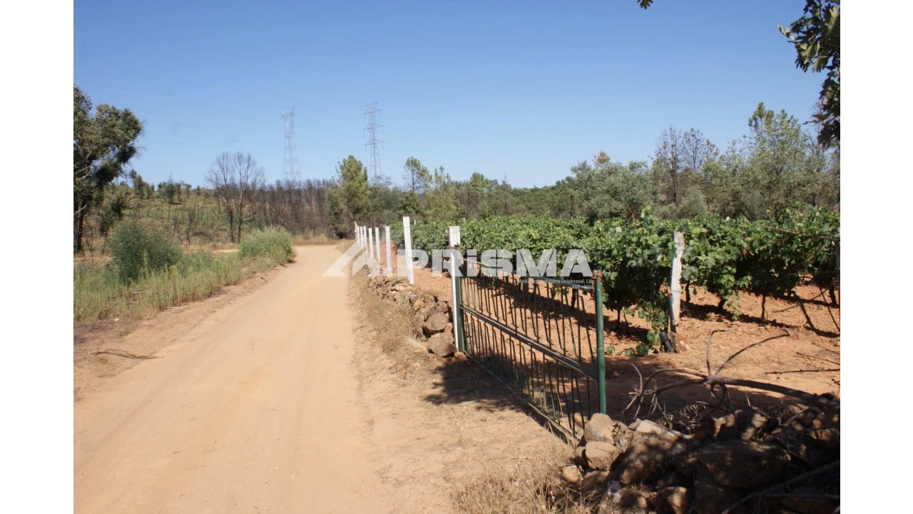 Quinta para Venda em Pero Viseu Foto 10