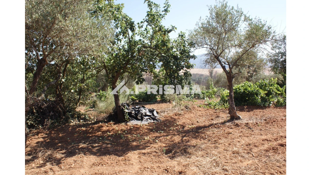 Quinta para Venda em Pero Viseu Foto 13