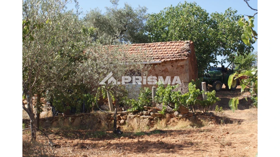 Quinta para Venda em Pero Viseu Foto 4