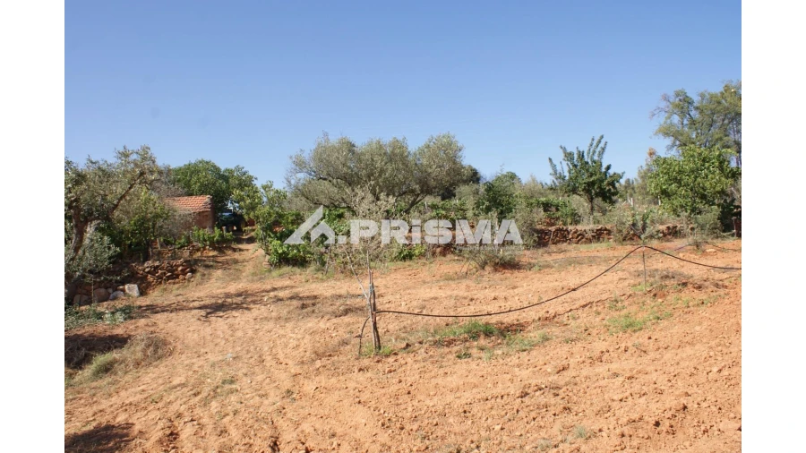 Quinta para Venda em Pero Viseu Foto 19