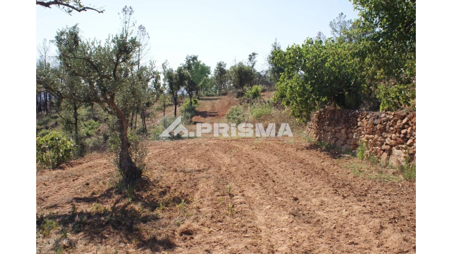 Quinta para Venda em Pero Viseu Foto 17