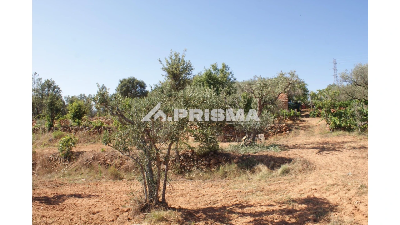 Quinta para Venda em Pero Viseu Foto 6