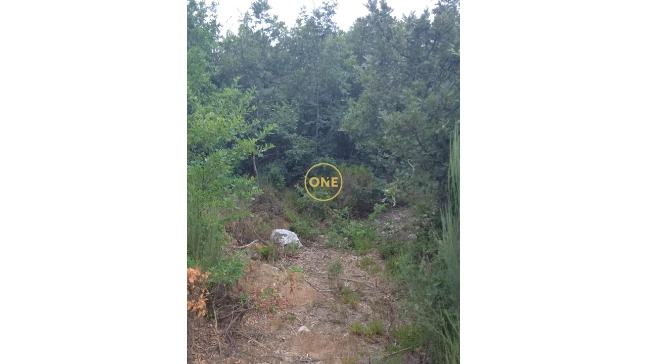 Terreno para Venda em Povolide Foto 1