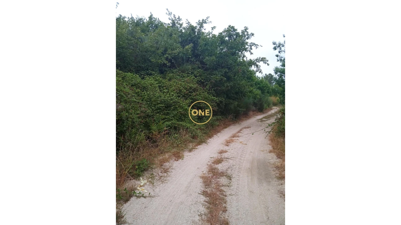 Terreno para Venda em Povolide Foto 3