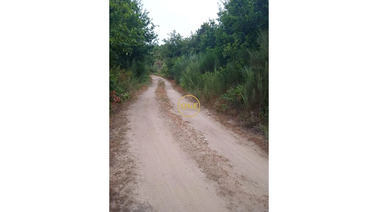 Terreno para Venda em Povolide Foto 4