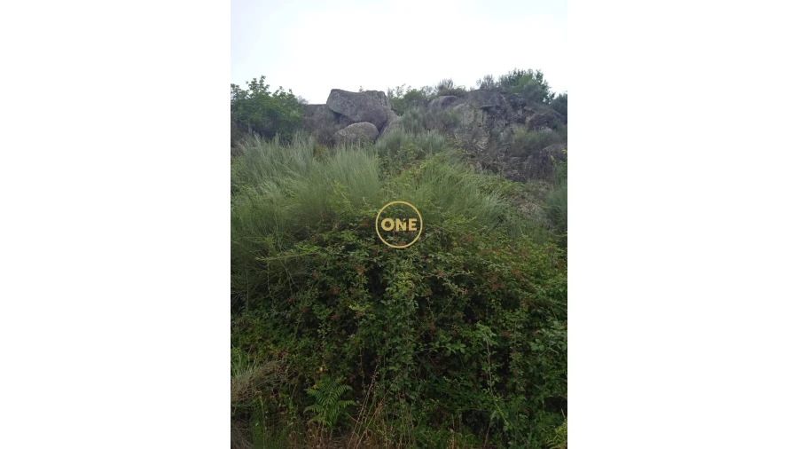 Terreno para Venda em Povolide Foto 2