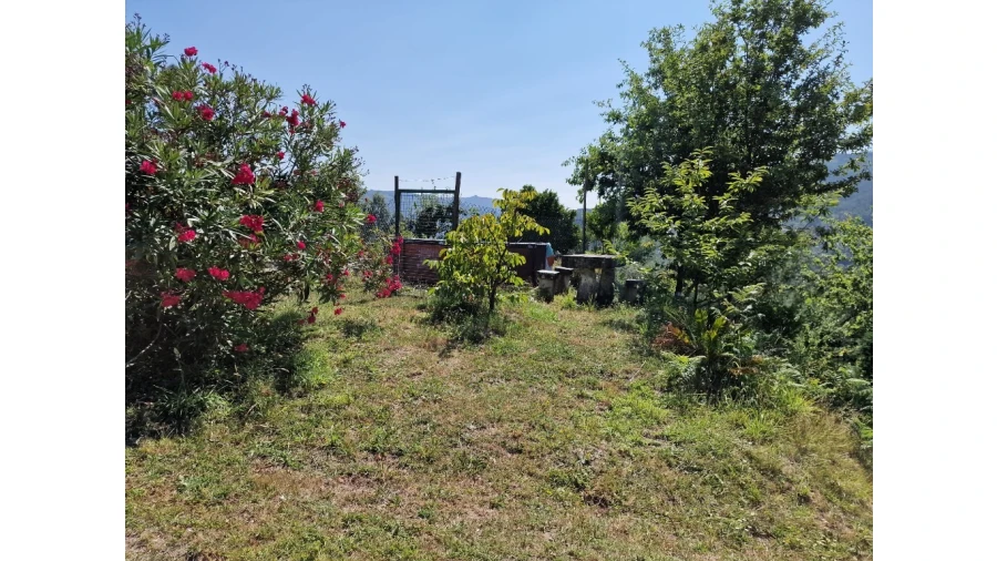 Moradia T3 para Venda em Ventosa e Cova Foto 4