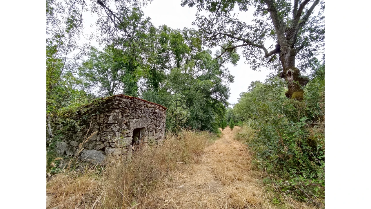 Quinta T0 para Venda em Castelo de Penalva Foto 11