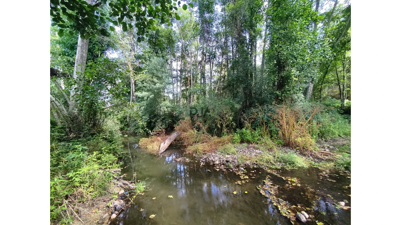 Quinta T0 para Venda em Castelo de Penalva Foto 3