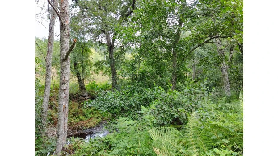 Quinta T0 para Venda em Castelo de Penalva Foto 12