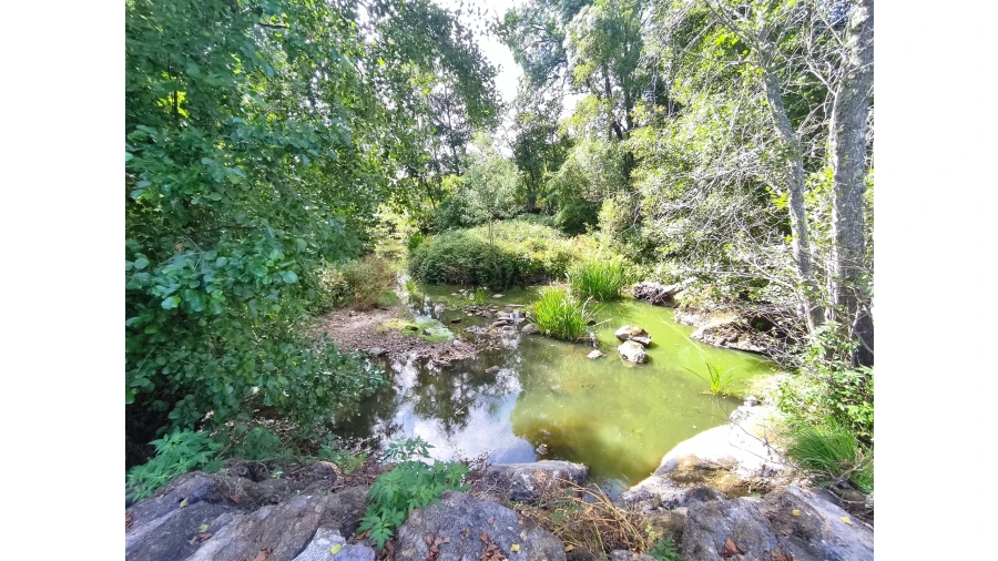 Quinta T0 para Venda em Castelo de Penalva Foto 4