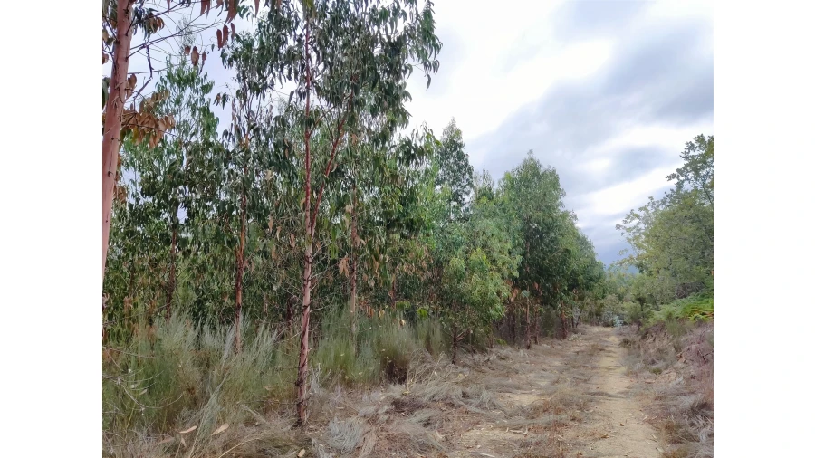 Quinta T0 para Venda em Castelo de Penalva Foto 14