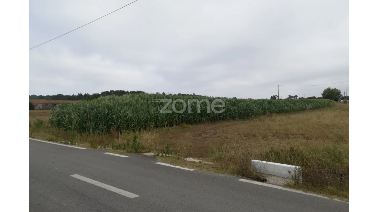 Terreno para Venda em Tocha Foto 6