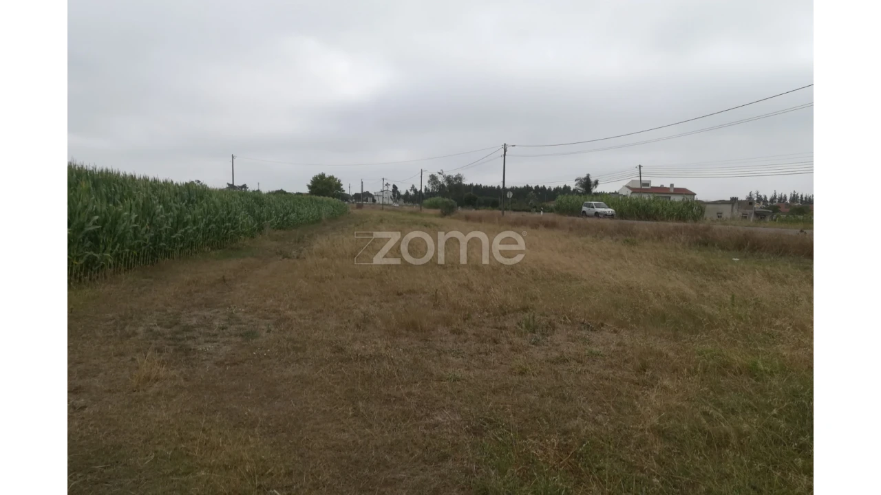Terreno para Venda em Tocha Foto 1