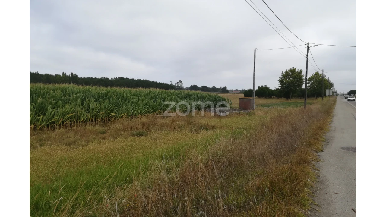 Terreno para Venda em Tocha Foto 10