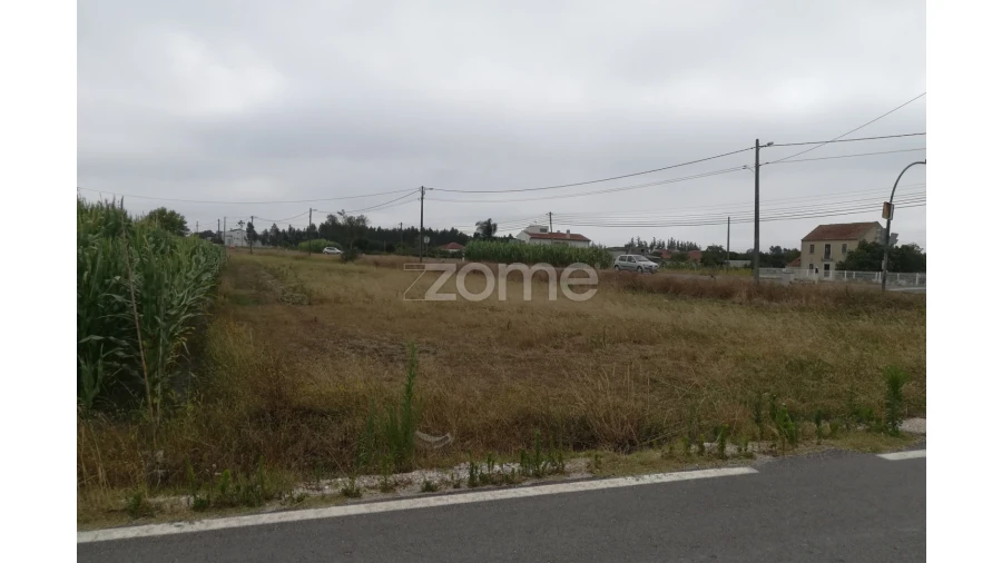 Terreno para Venda em Tocha Foto 8