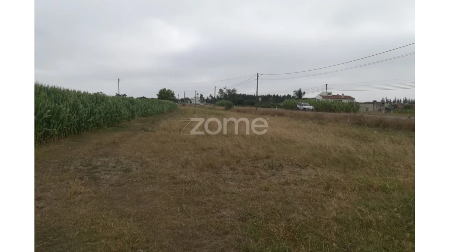 Terreno para Venda em Tocha Foto 1