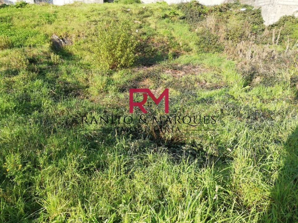 Terreno para Venda em Campo e Sobrado Foto 2